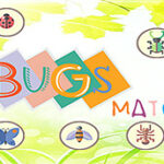 Bugs Match